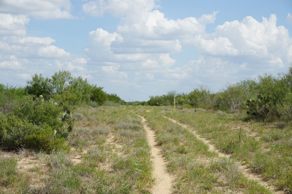 Ranch Land with Minerals: Ranch Rd 7918B, Laredo, TX 78046